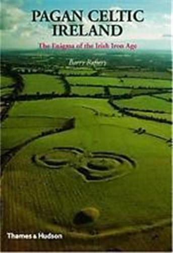 Pagan Celtic Ireland The Enigma of the Irish Iron Age /anglais