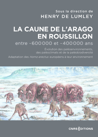 [9782271142498] La Caune de l'Arago en Roussillon entre -600 000 et -400 000 ans - Les Homo Erectus européens dans l
