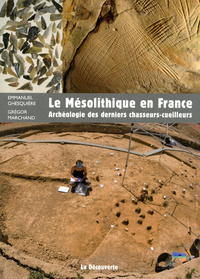 [9782707159526] Le mésolithique en France