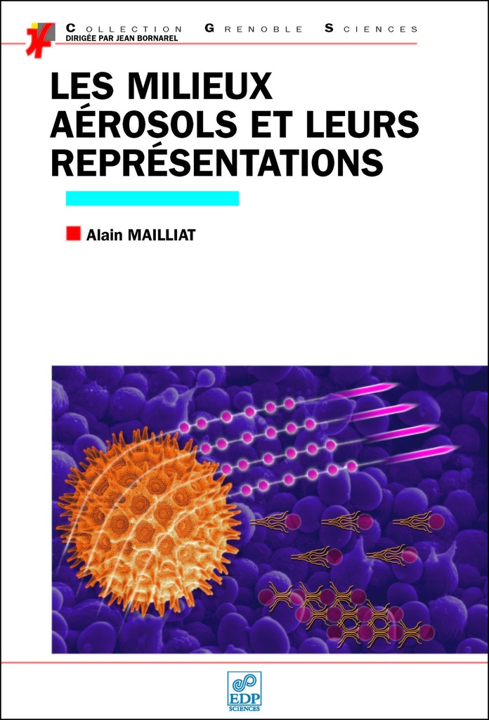 [9782759805532] Les Milieux aérosols et leurs représentations