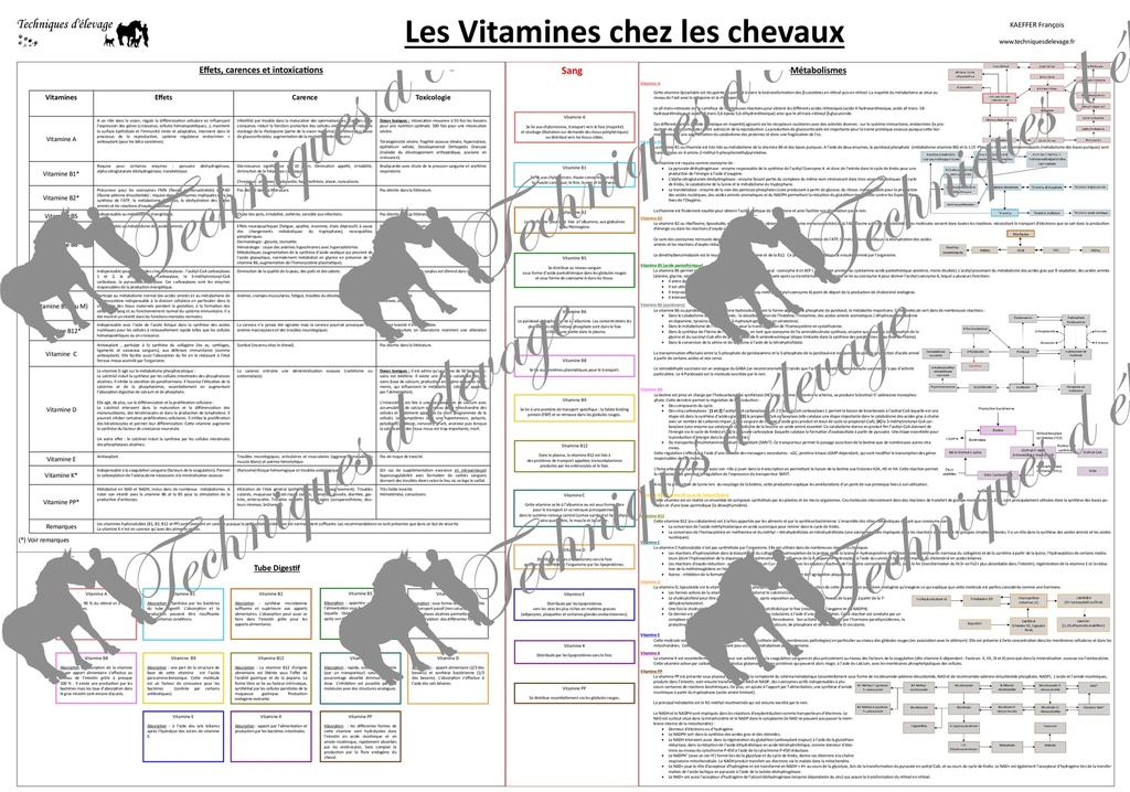 [9782955103548] Les vitamines chez les chevaux