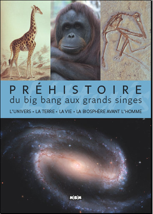 [9782350801254] PREHISTOIRE, DU BIG BANG AU GRANDS SINGES